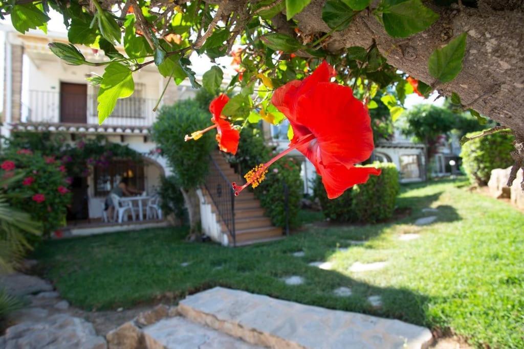 Casa En Denia Con Piscina Y Jardin Leilighet Eksteriør bilde
